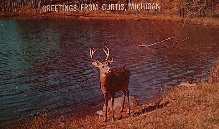 Curtis - Vintage Postcard (newer photo)